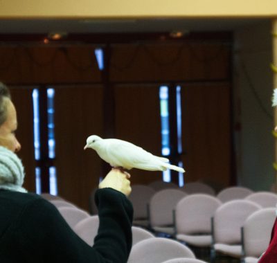 Jessica-12-Copie-Copie